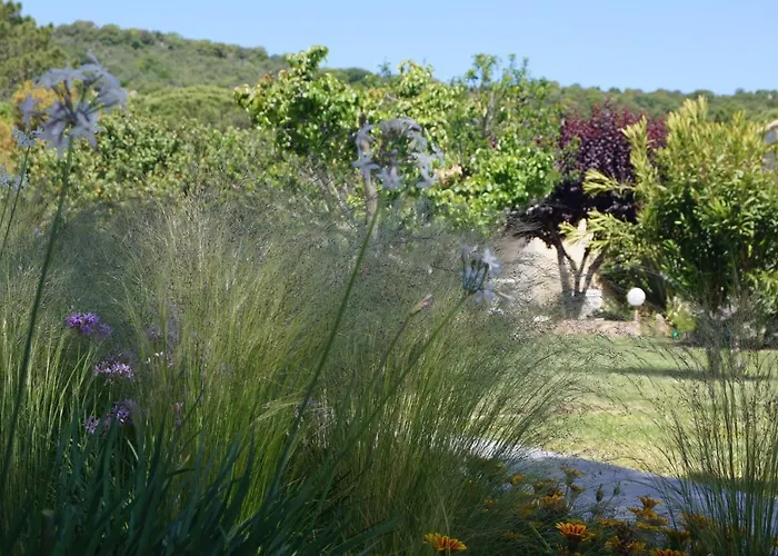 Maison d'hôtes Les Jardins De Santa Giulia - Charmante Dhte Porto-Vecchio (Corsica)