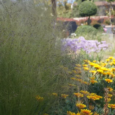 Gæstehus Les Jardins De Santa Giulia - Charmante Dhte 3*