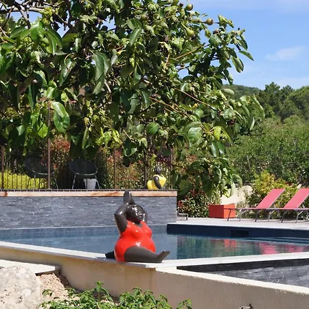 Les Jardins De Santa Giulia - Charmante Dhte Gæstehus Porto-Vecchio (Corsica)