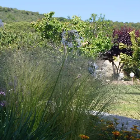 게스트하우스 Les Jardins De Santa Giulia - Charmante Dhte 포르토베쉬오