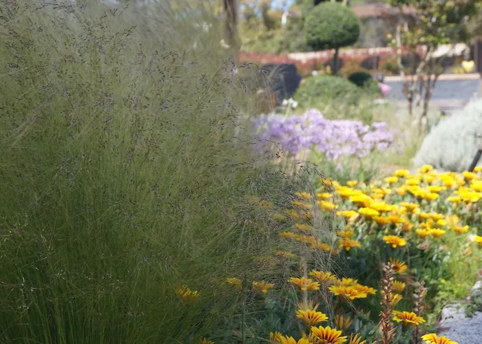 招待所 Les Jardins De Santa Giulia - Charmante Dhte 3*